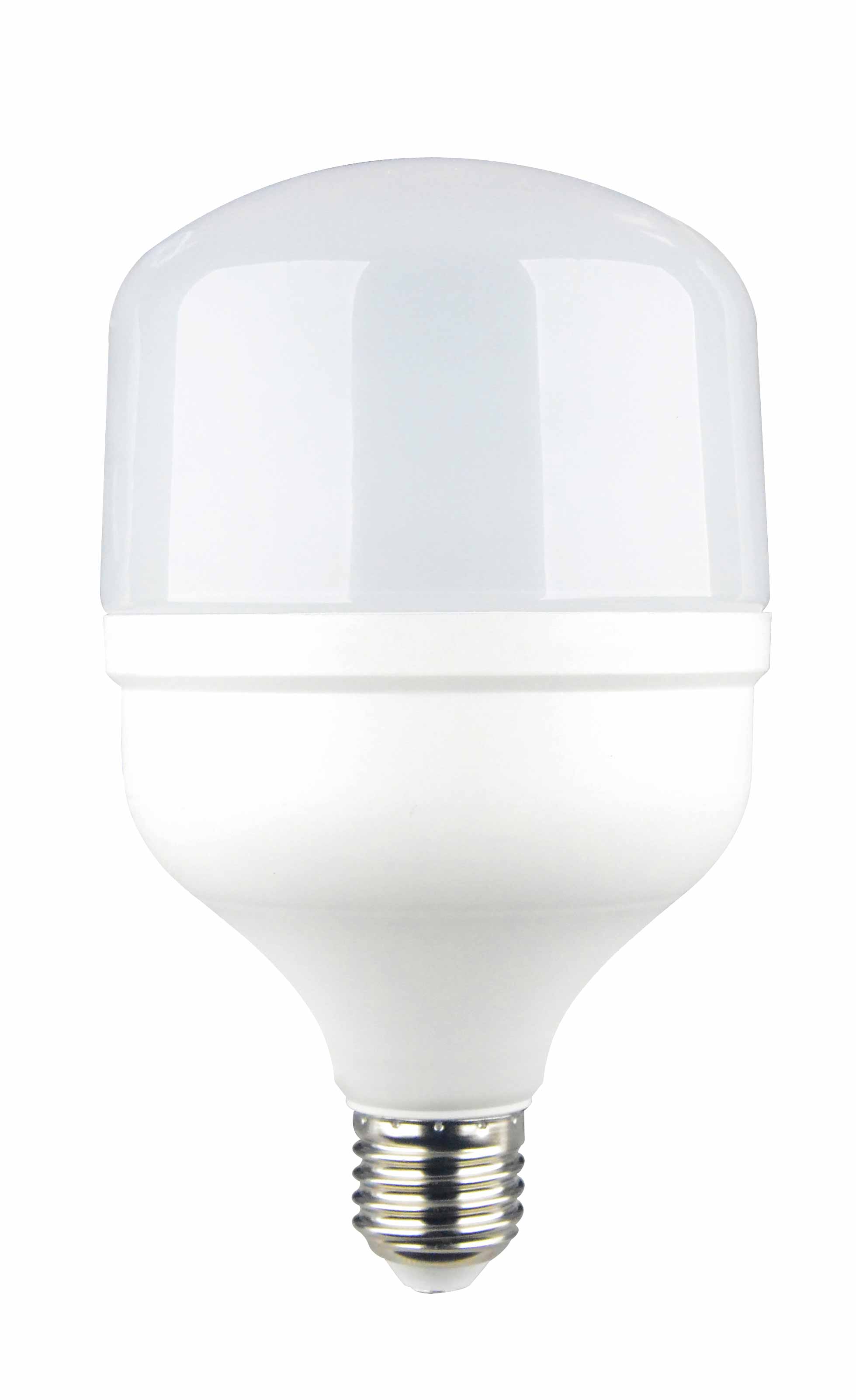 LED žarnica E27 T100 30W
