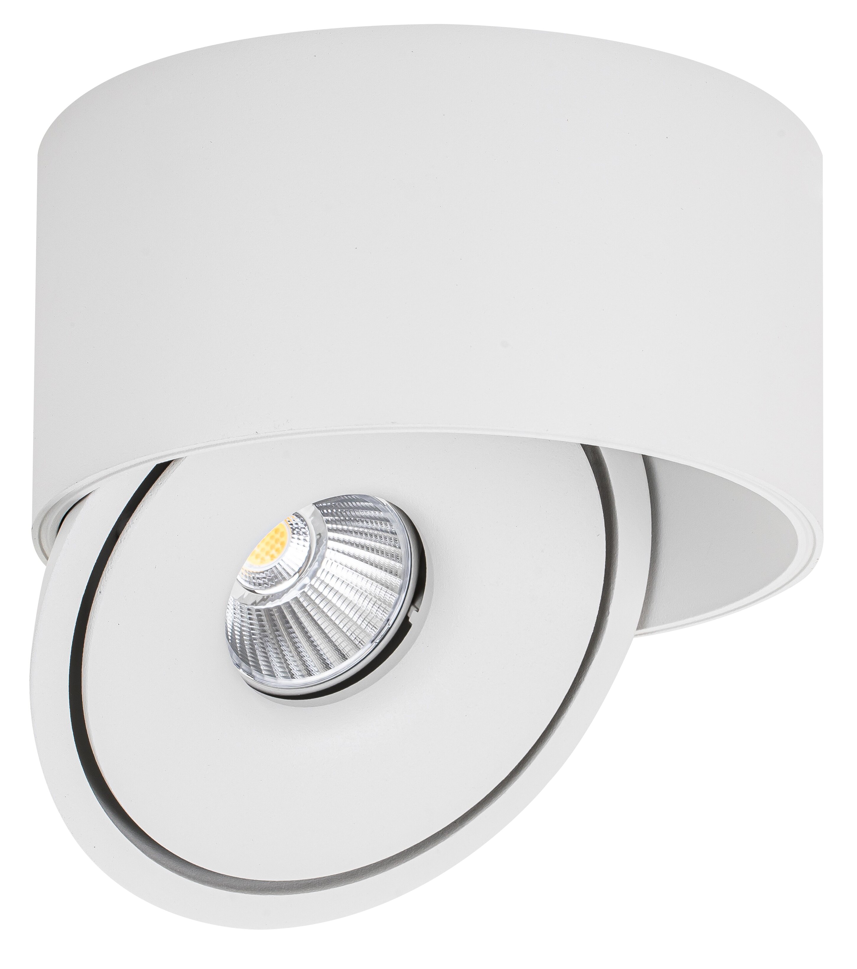 LED COB downlight 30W OKROG ROTACIJSKI BEL - BRIDGELUX